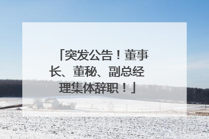 突发公告！董事长、董秘、副总经理集体辞职！