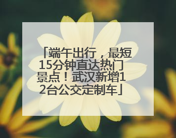 端午出行，最短15分钟直达热门景点！武汉新增12台公交定制车