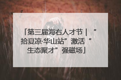 第三届海右人才节｜“拾夏凉·华山站”激活“生态聚才”强磁场