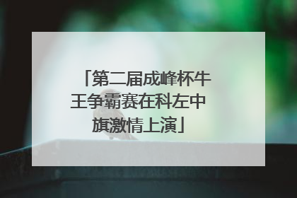 第二届成峰杯牛王争霸赛在科左中旗激情上演
