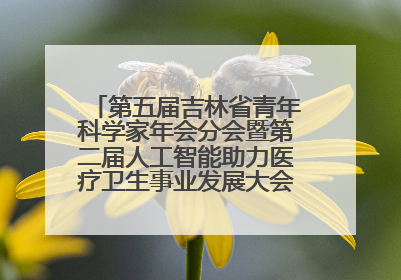 第五届吉林省青年科学家年会分会暨第二届人工智能助力医疗卫生事业发展大会在长春召开