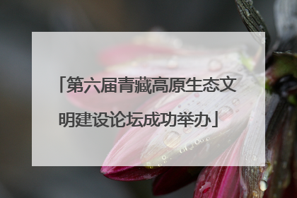第六届青藏高原生态文明建设论坛成功举办
