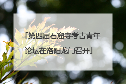 第四届石窟寺考古青年论坛在洛阳龙门召开