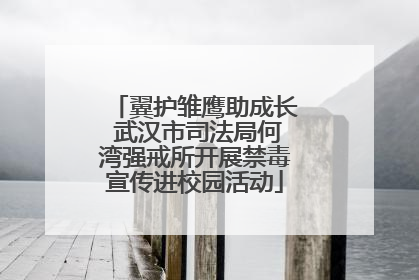 翼护雏鹰助成长 武汉市司法局何湾强戒所开展禁毒宣传进校园活动