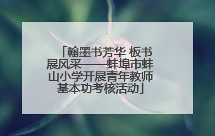 翰墨书芳华 板书展风采——蚌埠市蚌山小学开展青年教师基本功考核活动