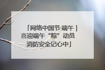 网络中国节·端午｜喜迎端午“粽”动员 消防安全记心中