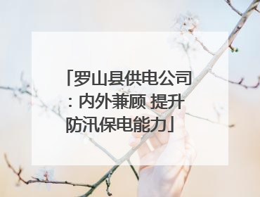 罗山县供电公司：内外兼顾 提升防汛保电能力
