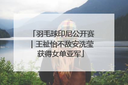 羽毛球印尼公开赛｜王祉怡不敌安洗莹 获得女单亚军