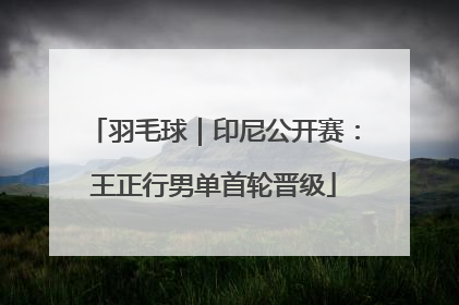 羽毛球｜印尼公开赛：王正行男单首轮晋级