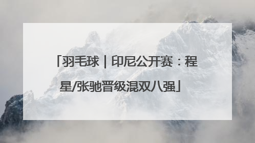 羽毛球｜印尼公开赛：程星/张驰晋级混双八强
