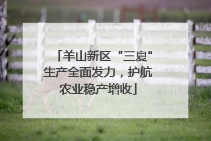 羊山新区“三夏”生产全面发力，护航农业稳产增收