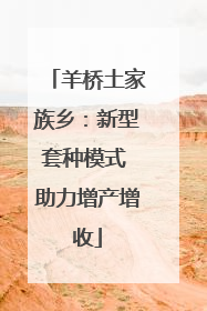羊桥土家族乡：新型套种模式 助力增产增收