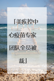 美疾控中心疫苗专家团队全员被裁