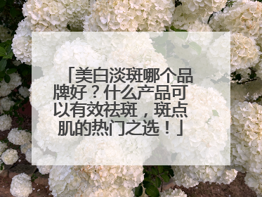 美白淡斑哪个品牌好？什么产品可以有效祛斑，斑点肌的热门之选！