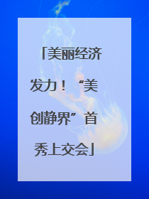 美丽经济发力！“美创静界”首秀上交会