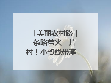 美丽农村路｜一条路带火一片村！小贺线带溪望谷成团出道
