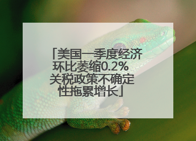 美国一季度经济环比萎缩0.2% 关税政策不确定性拖累增长