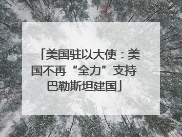 美国驻以大使：美国不再“全力”支持巴勒斯坦建国