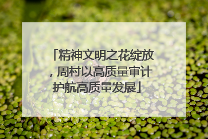 精神文明之花绽放，周村以高质量审计护航高质量发展