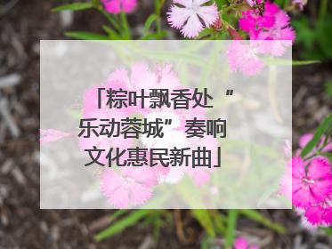 粽叶飘香处“乐动蓉城”奏响文化惠民新曲