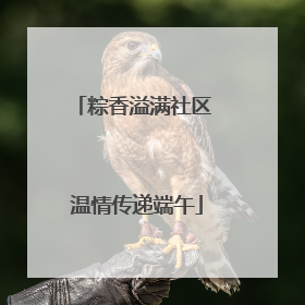 粽香溢满社区 温情传递端午