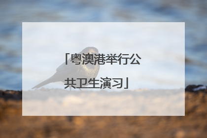 粤澳港举行公共卫生演习