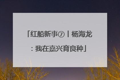 红船新事⑦丨杨海龙：我在嘉兴育良种