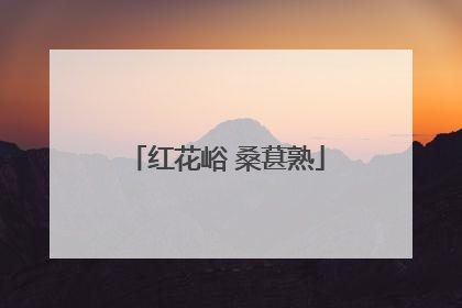 红花峪 桑葚熟