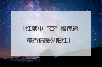 红领巾“杏”福传递 粽香情暖夕阳红