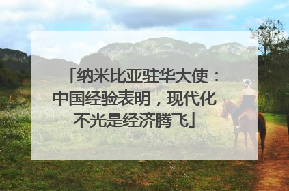 纳米比亚驻华大使：中国经验表明，现代化不光是经济腾飞