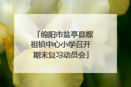 绵阳市盐亭县嫘祖镇中心小学召开期末复习动员会