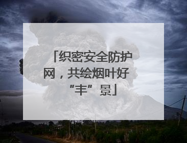 织密安全防护网，共绘烟叶好“丰”景