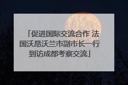 促进国际交流合作 法国沃昂沃兰市副市长一行到访成都考察交流
