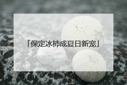 保定冰柿成夏日新宠