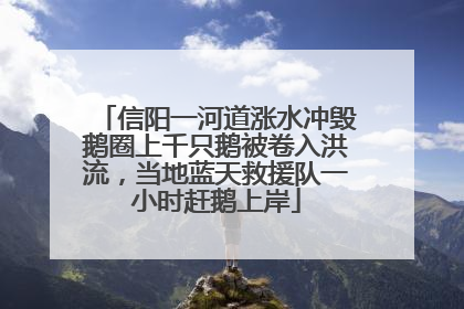 信阳一河道涨水冲毁鹅圈上千只鹅被卷入洪流，当地蓝天救援队一小时赶鹅上岸