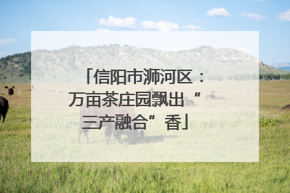 信阳市浉河区：万亩茶庄园飘出“三产融合”香