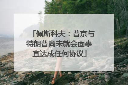 佩斯科夫：普京与特朗普尚未就会面事宜达成任何协议