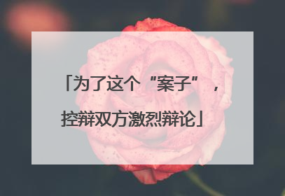 为了这个“案子”，控辩双方激烈辩论