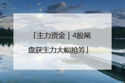 主力资金｜4股尾盘获主力大幅抢筹