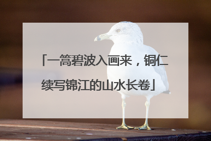 一篙碧波入画来，铜仁续写锦江的山水长卷