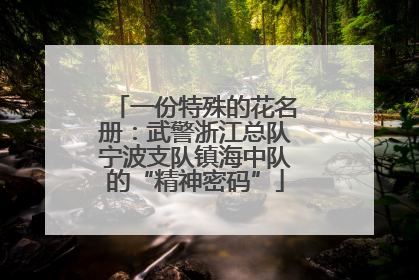 一份特殊的花名册：武警浙江总队宁波支队镇海中队的“精神密码”