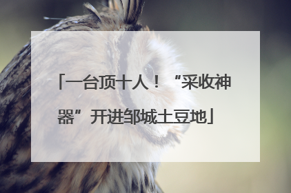 一台顶十人！“采收神器”开进邹城土豆地