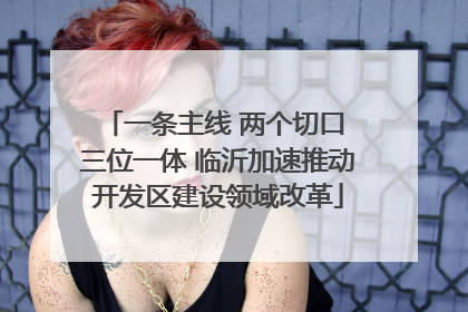一条主线 两个切口 三位一体 临沂加速推动开发区建设领域改革