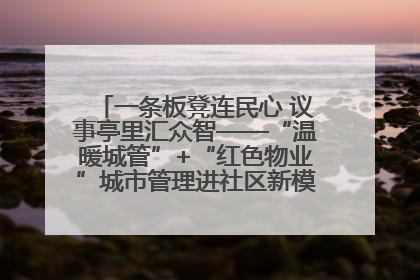 一条板凳连民心 议事亭里汇众智——“温暖城管”+“红色物业”城市管理进社区新模式绘就城市管理社区治理新画卷
