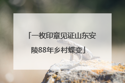 一枚印章见证山东安陵88年乡村蝶变