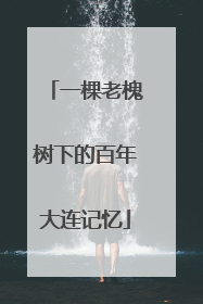 一棵老槐树下的百年大连记忆