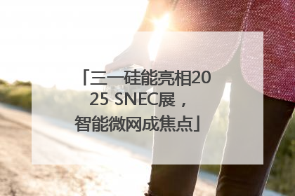 三一硅能亮相2025 SNEC展，智能微网成焦点