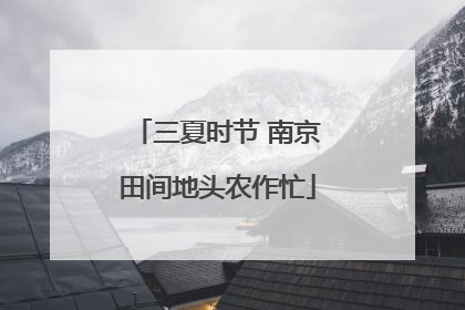 三夏时节 南京田间地头农作忙