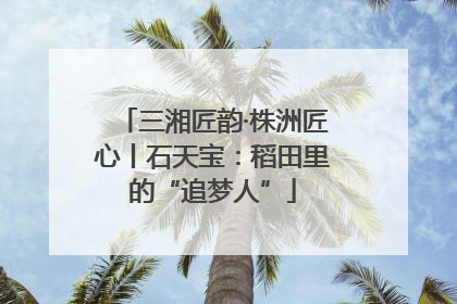 三湘匠韵·株洲匠心丨石天宝：稻田里的“追梦人”