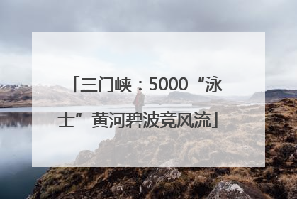 三门峡：5000“泳士”黄河碧波竞风流
